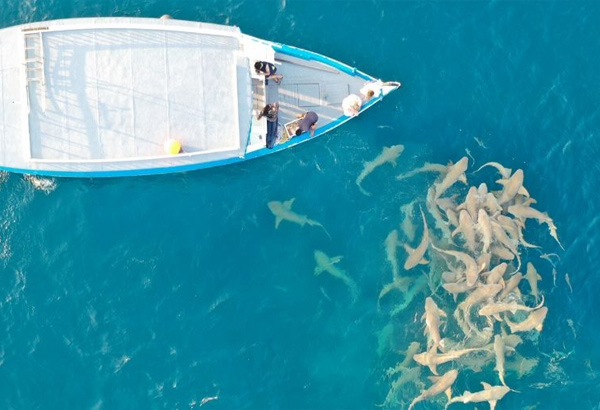 Adaaran Club Rannalhi Maldives