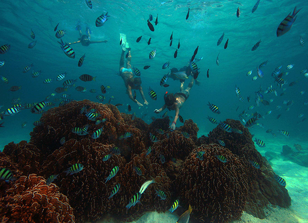 Soneva Activities
