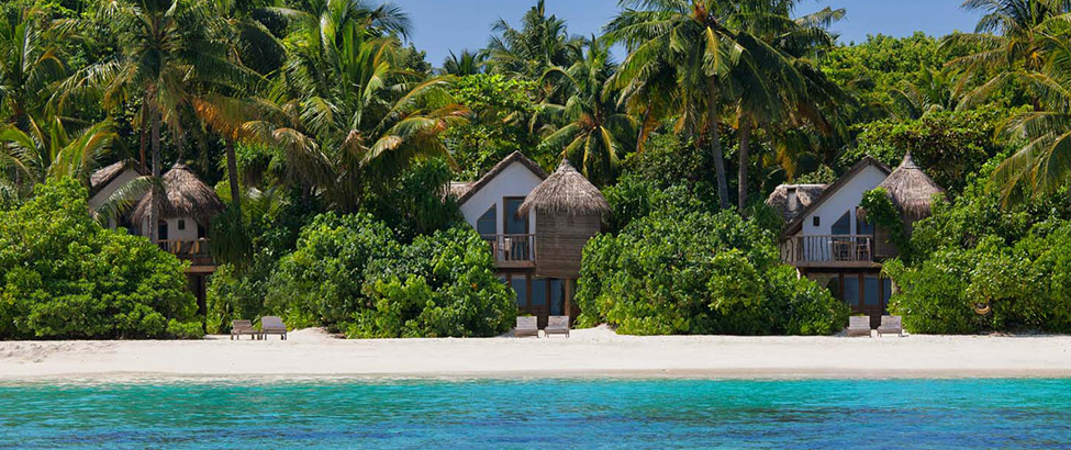 maldiviana seichely special